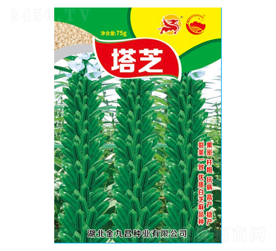 ��֥-��֥��Ʒ�N-��Ų�