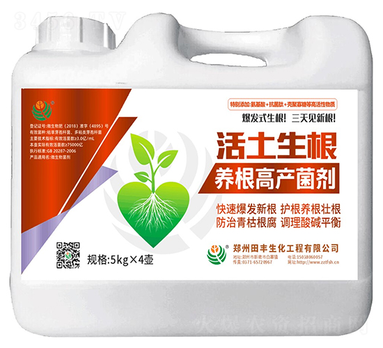 ��������-�۟o(w��)��