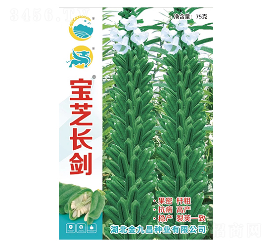 寶芝長(zhǎng)劍-金九昌