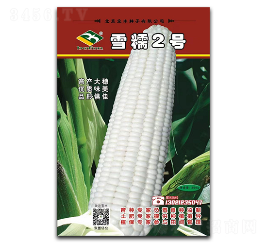 雪糯2號-糯玉米種子-寶豐