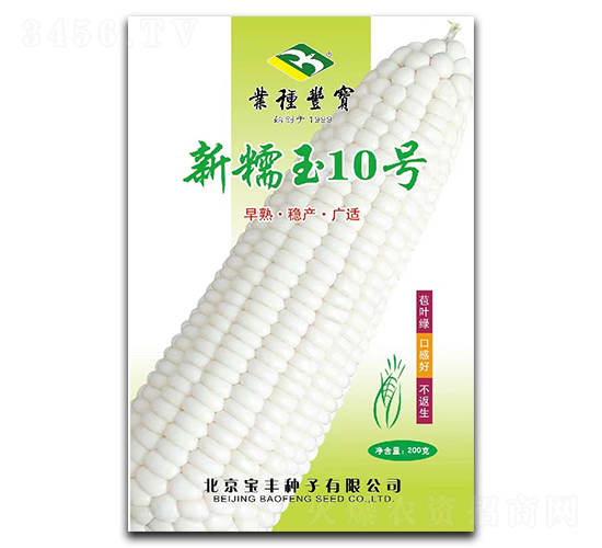 新糯玉10號-糯玉米種子-寶豐