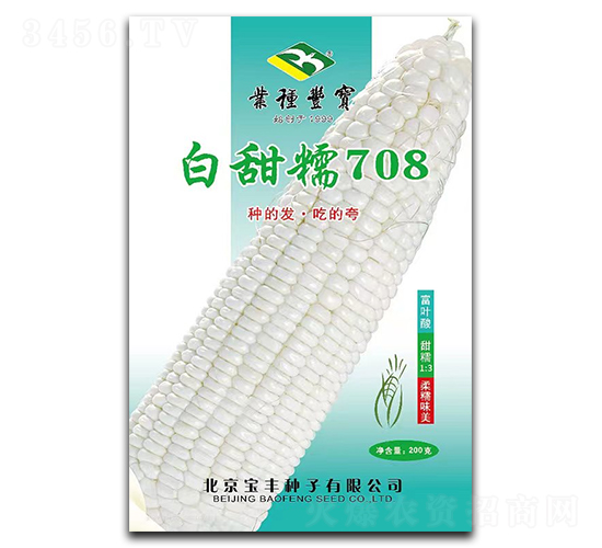 白甜糯708-糯玉米種子-寶豐