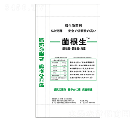 菌根生（球狀）-安田