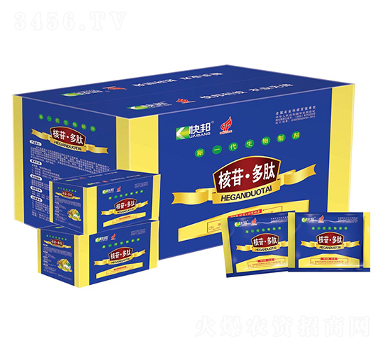 ��һ�������Ƅ�-���ն���-�������