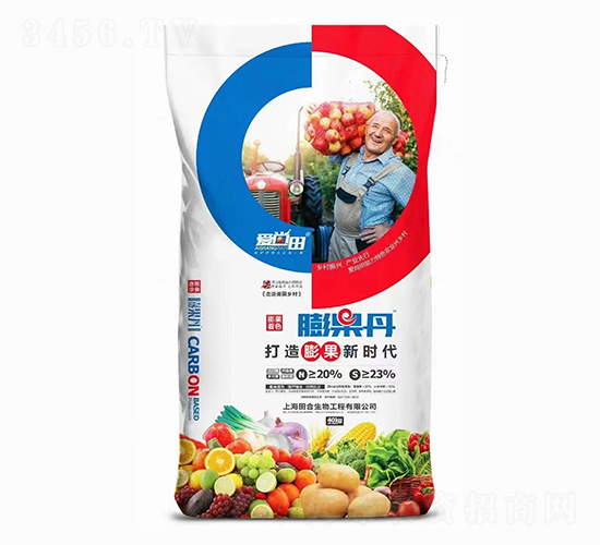 �����-������-�������