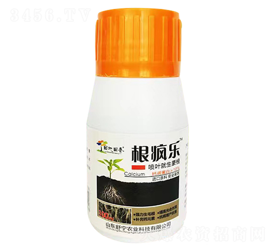 ������-�������-�挎