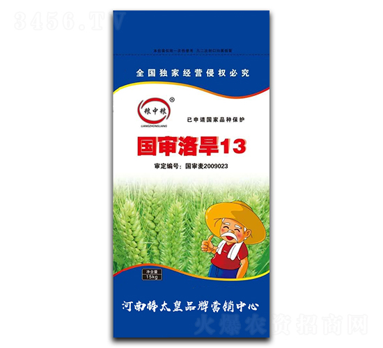 國(guó)審洛旱13（小麥種子）-糧中糧-鼎冠種業(yè)