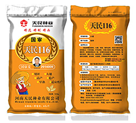 國審天民116（黃袋）-小麥種子-天民種業(yè)