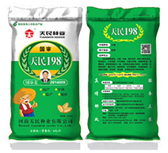 國審天民198-小麥種子-天民種業(yè)
