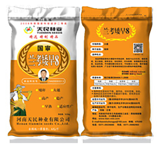 國審蘭考矮早8（荊門區(qū)域黃袋）-小麥種子-天民種業(yè)