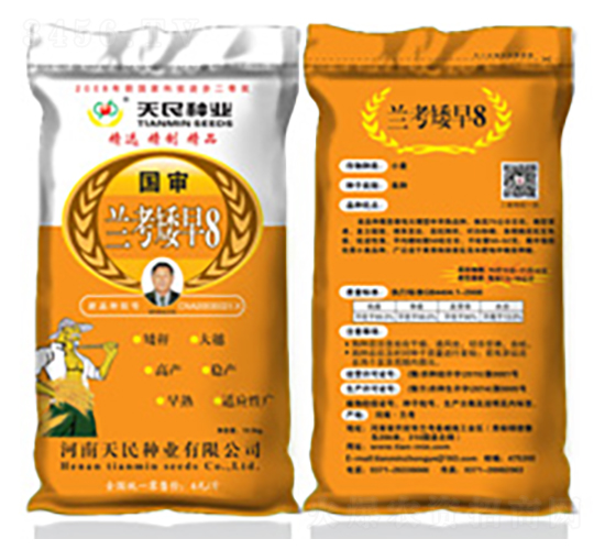 國審蘭考矮早8（黃袋）-小麥種子-天民種業(yè)
