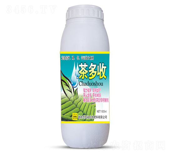 �����-ʥ�ϝ�