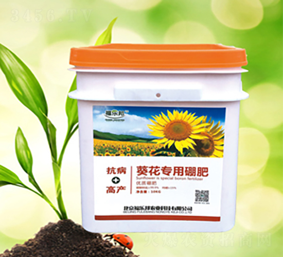 �����������-������