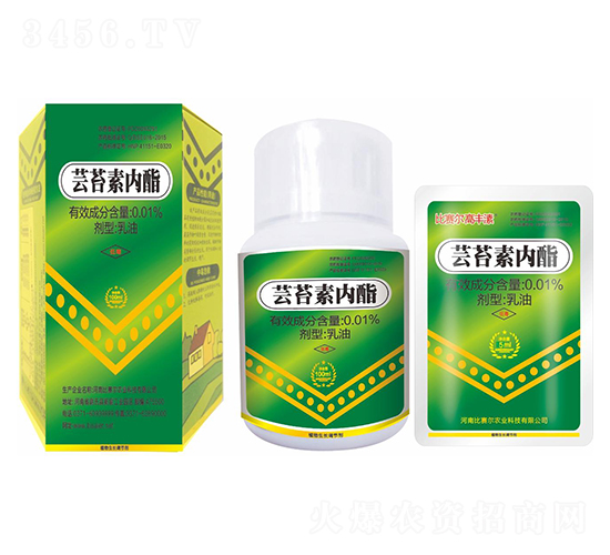 �|̦�؃�(n��i)��-��ِ�����S��-��ِ��