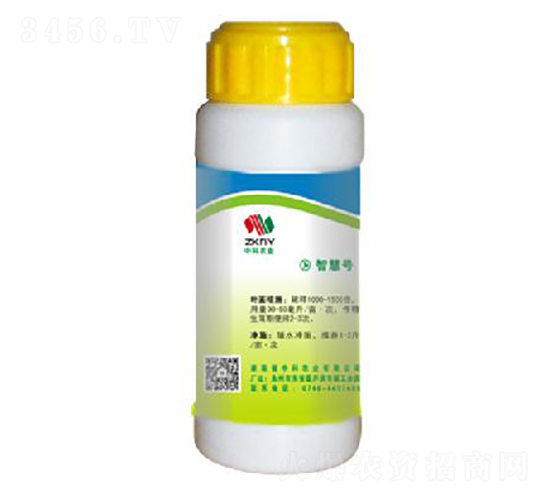 �~����-�п��r(n��ng)�I(y��)