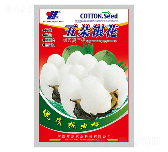 五朵銀花-棉花種子-邢源農業(yè)