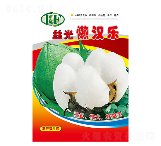絲光懶漢樂-棉花種子-邢源農(nóng)業(yè)
