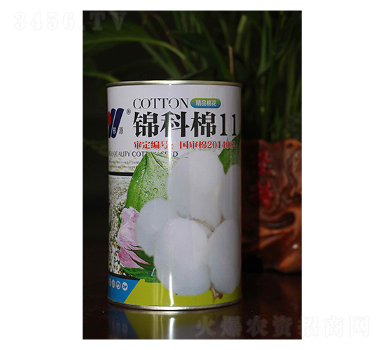 錦科棉11-棉花種子-邢源農(nóng)業(yè)