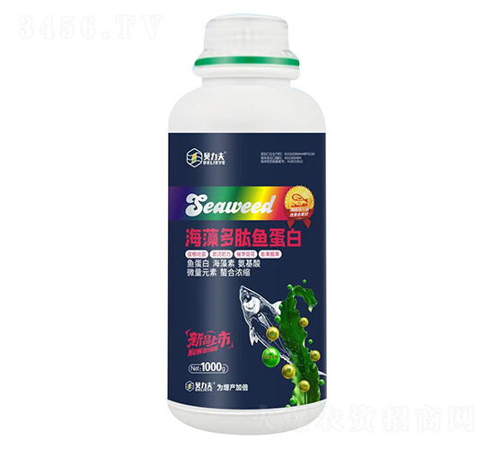 1000g��������~(y��)����-ؐ����-��?t��ng)��S