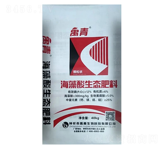 ���������B(t��i)����-��������