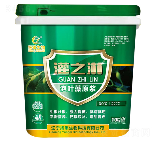 泡葉藻原漿-灌之淋-揚(yáng)琪生物