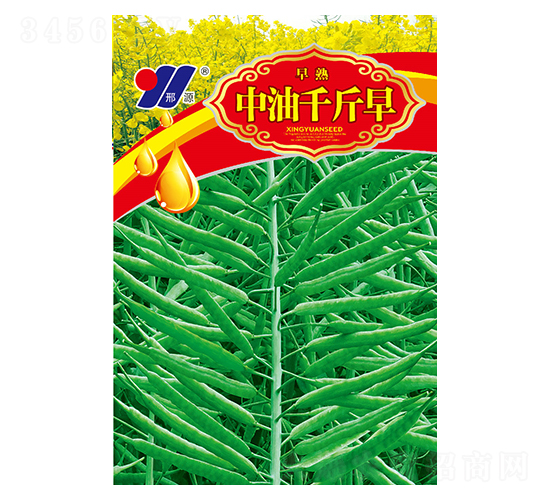 中油千斤早-油菜種子-邢源農(nóng)業(yè)