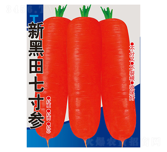 �º����ߴ煢-�}���N��-��Դ�r(n��ng)�I(y��)