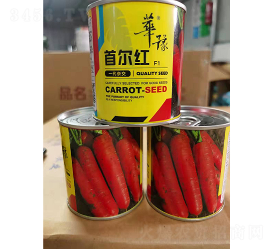 �נ��t-�}���N��-��Դ�r(n��ng)�I(y��)