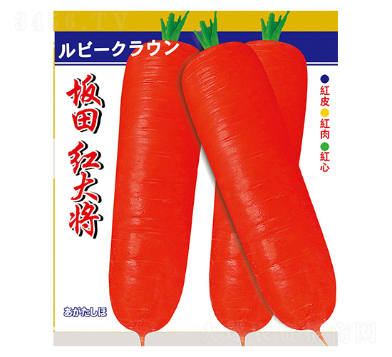 ����t��-�}���N��-��Դ�r(n��ng)�I(y��)