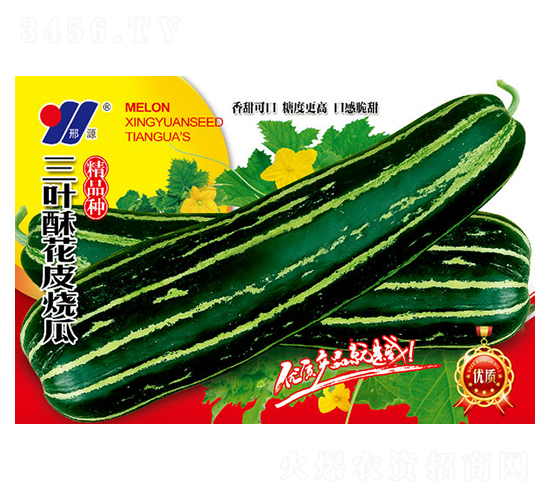 ���~�ֻ�Ƥ����-��ϷN��-��Դ�r(n��ng)�I(y��)