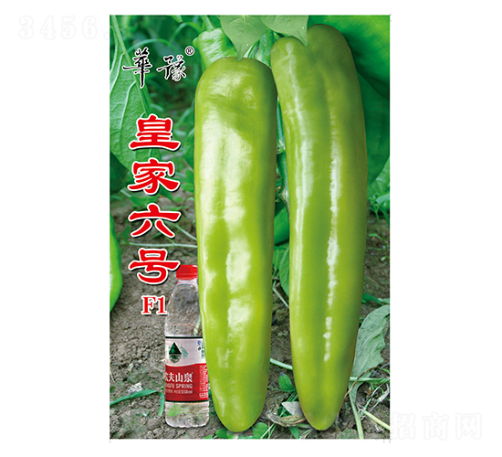 �ʼ���̖(h��o)F1-�����N��-��Դ�r(n��ng)�I(y��)