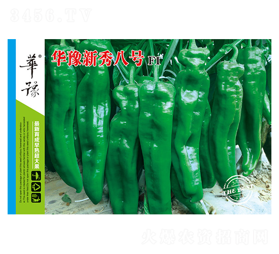 �Aԥ�����̖F1-�����N��-��Դ�r�I(y��)