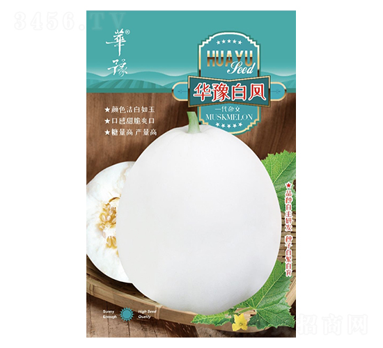 華豫白鳳-甜瓜種子-邢源農(nóng)業(yè)
