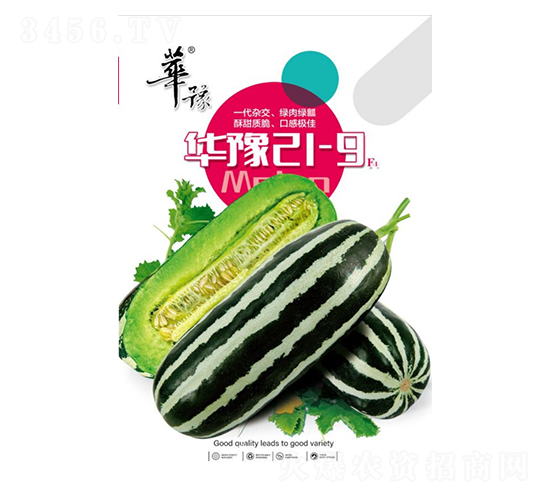 �Aԥ21-9-��ϷN��-��Դ�r(n��ng)�I(y��)