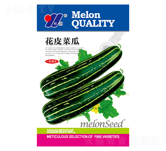 ��Ƥ�˹�-��ϷN��-��Դ�r(n��ng)�I(y��)