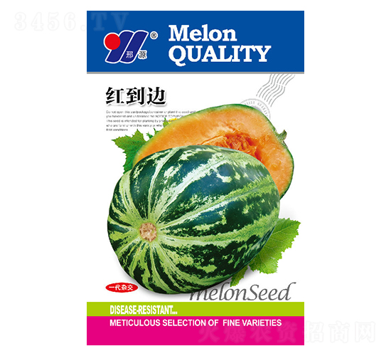 紅到邊-甜瓜種子-邢源農(nóng)業(yè)