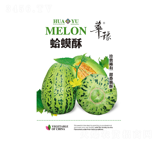蛤蟆酥-甜瓜種子-邢源農業(yè)