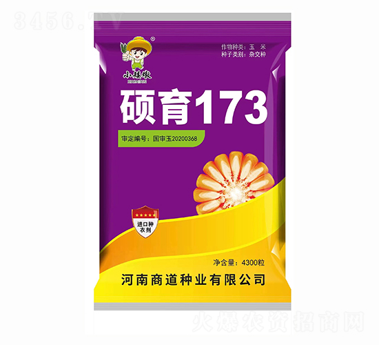 �T��173��4300����-���׷N��-�̵��N�I(y��)