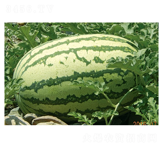 �p�tȿ�����-���ϷN��-��Դ�r(n��ng)�I(y��)