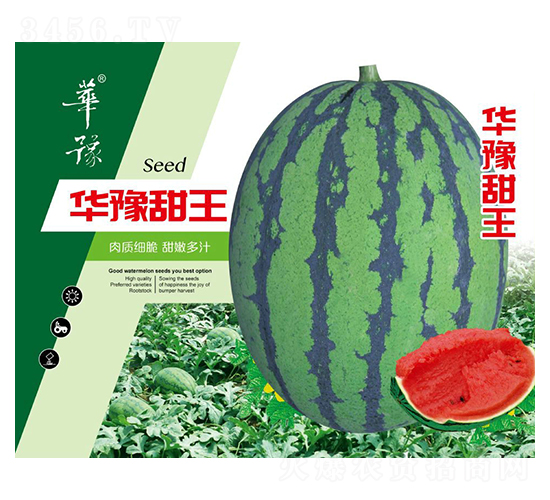 華豫甜王-西瓜種子-邢源農(nóng)業(yè)