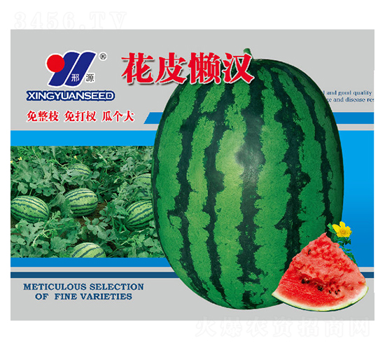 花皮懶漢-西瓜種子-邢源農(nóng)業(yè)