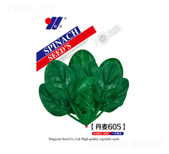 丹麥605-菠菜種子-邢源農(nóng)業(yè)