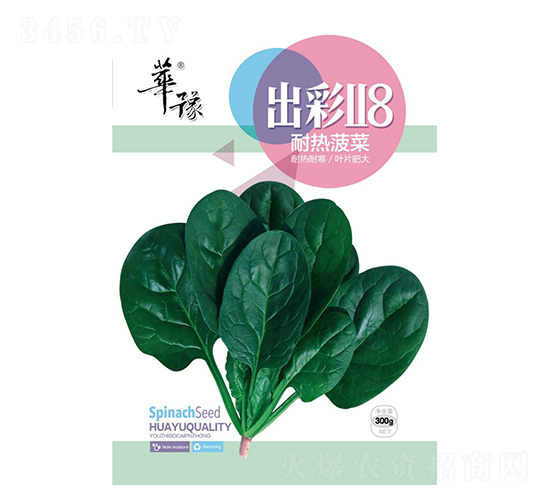 出彩118-菠菜種子-邢源農(nóng)業(yè)