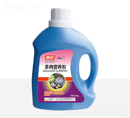 ����I�B(y��ng)��-һ������