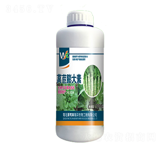 �n�������-�ֿ��S