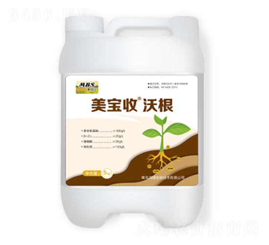 �ָ�-������-�M������