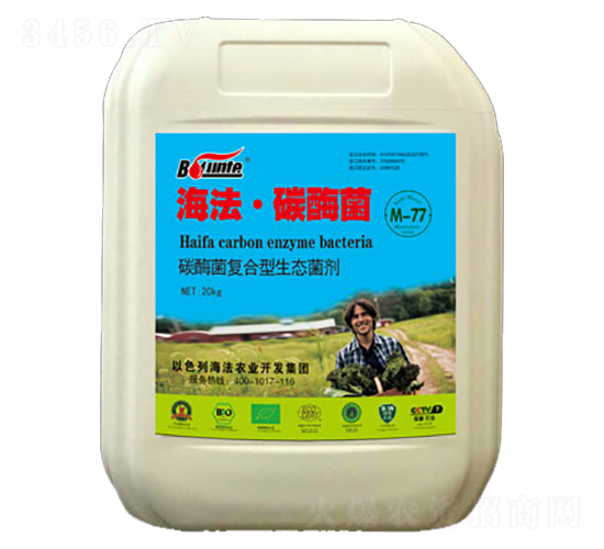 ̼ø��-������