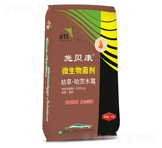 4kg΢�������-ʩؐ��-����ʩ