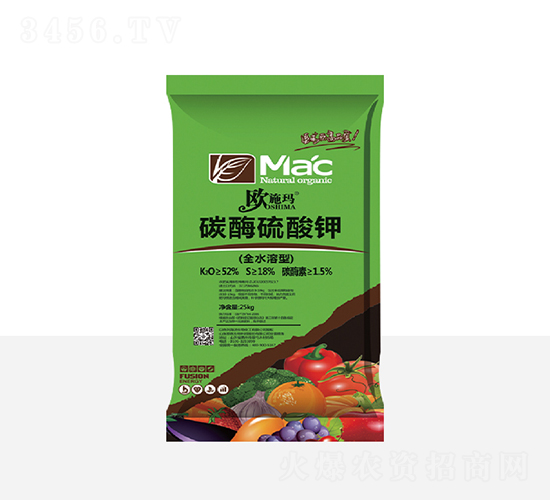 ̼ø�����-һ������