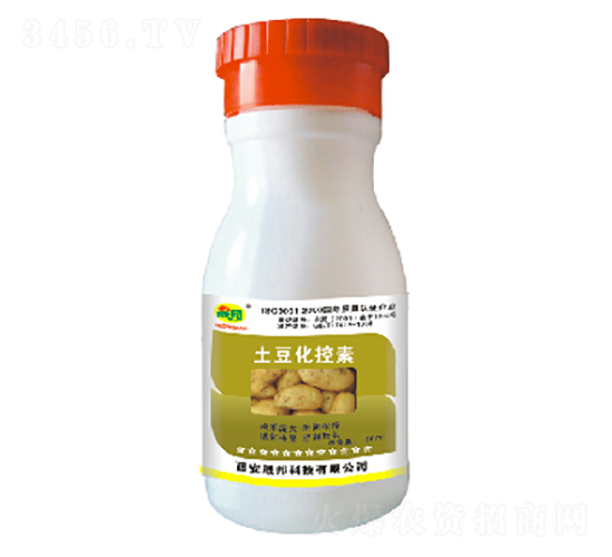 �t��������-�ɰ�����